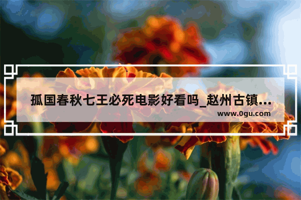 孤国春秋七王必死电影好看吗_赵州古镇电影内容