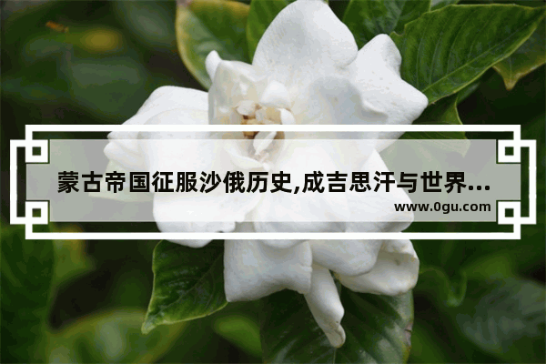 蒙古帝国征服沙俄历史,成吉思汗与世界历史