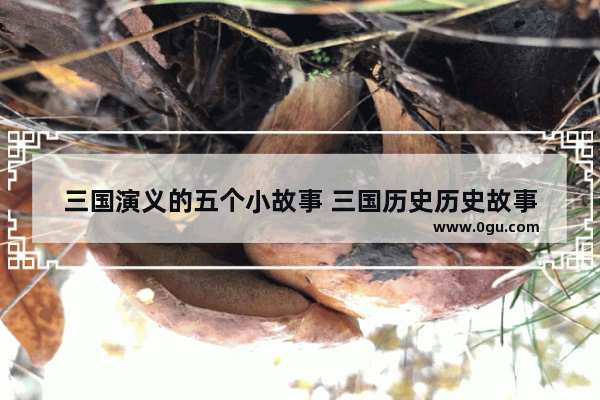 三国演义的五个小故事 三国历史历史故事