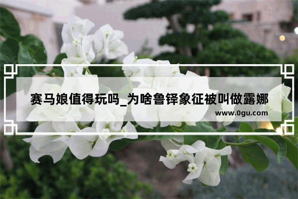 赛马娘值得玩吗_为啥鲁铎象征被叫做露娜