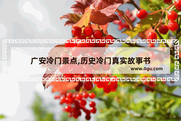 广安冷门景点,历史冷门真实故事书