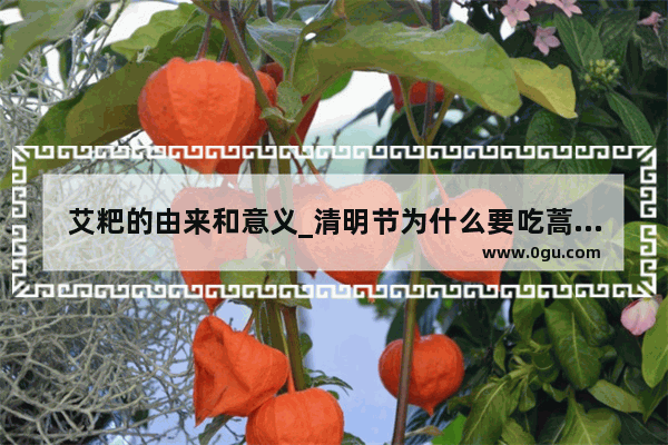 艾粑的由来和意义_清明节为什么要吃蒿子粑粑