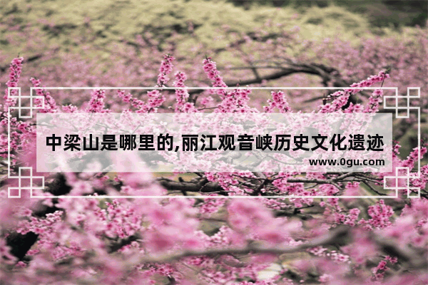 中梁山是哪里的,丽江观音峡历史文化遗迹