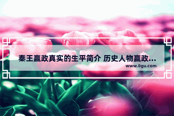 秦王嬴政真实的生平简介 历史人物嬴政的生平简介