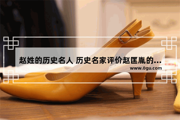 赵姓的历史名人 历史名家评价赵匡胤的故事