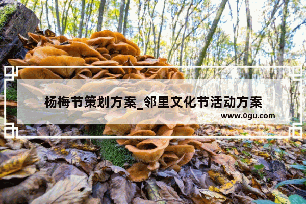 杨梅节策划方案_邻里文化节活动方案
