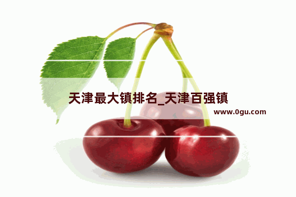 天津最大镇排名_天津百强镇