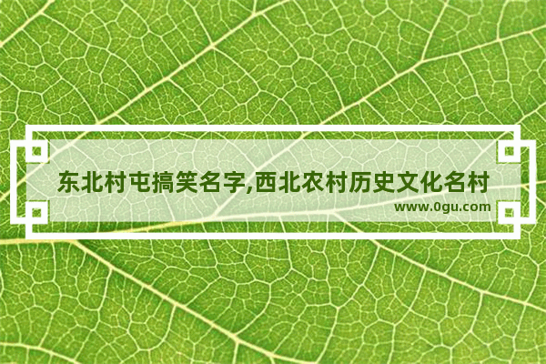 东北村屯搞笑名字,西北农村历史文化名村