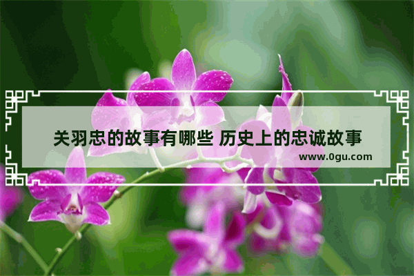 关羽忠的故事有哪些 历史上的忠诚故事