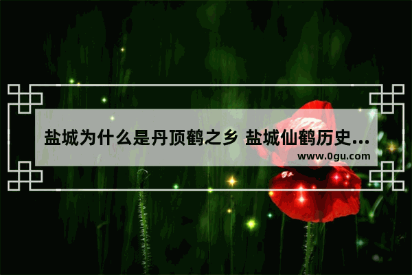 盐城为什么是丹顶鹤之乡 盐城仙鹤历史文化的简介