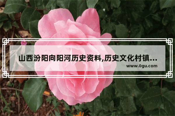 山西汾阳向阳河历史资料,历史文化村镇语言景观研究