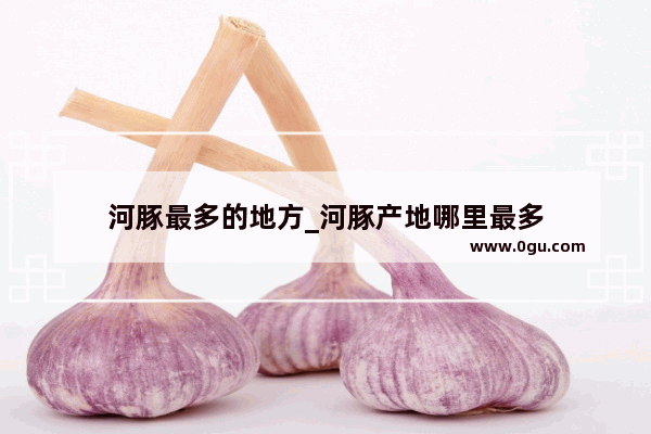 河豚最多的地方_河豚产地哪里最多