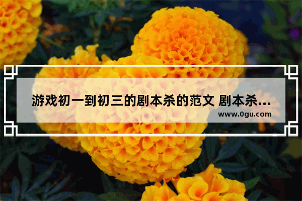 游戏初一到初三的剧本杀的范文 剧本杀和历史文化结合