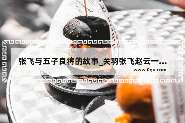 张飞与五子良将的故事_关羽张飞赵云一起出战是哪个故事