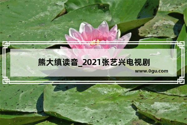 熊大缜读音_2021张艺兴电视剧