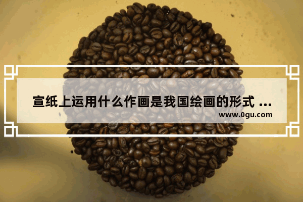 宣纸上运用什么作画是我国绘画的形式 叫什么,汉族的春节习俗画