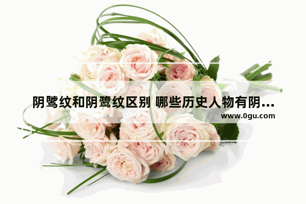 阴骘纹和阴鹭纹区别 哪些历史人物有阴德纹