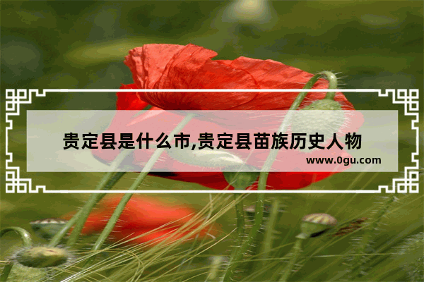 贵定县是什么市,贵定县苗族历史人物
