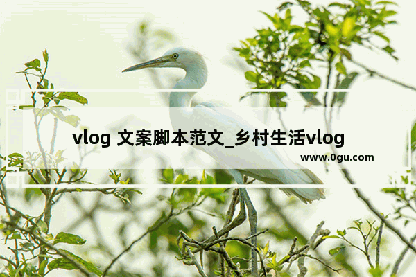 vlog 文案脚本范文_乡村生活vlog脚本模板