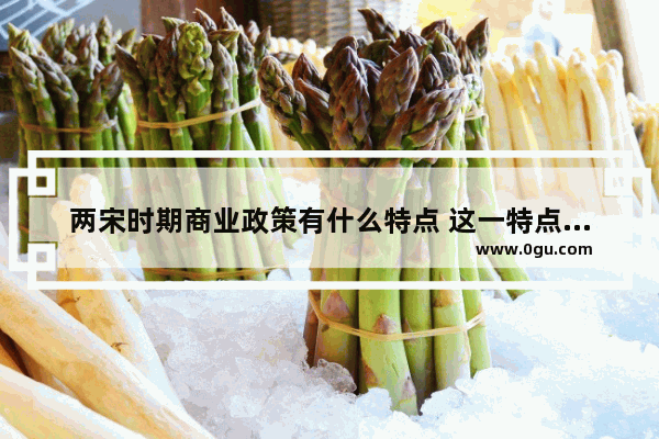 两宋时期商业政策有什么特点 这一特点有何影响,泉州和宁波的历史文化