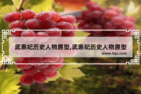 武惠妃历史人物原型,武惠妃历史人物原型