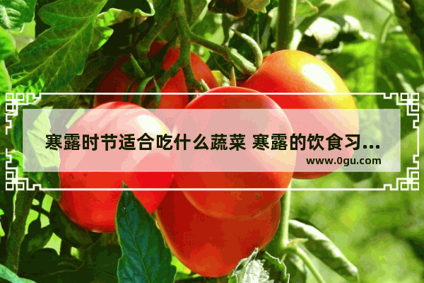 寒露时节适合吃什么蔬菜 寒露的饮食习俗蔬菜