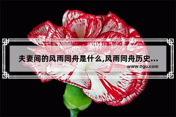 夫妻间的风雨同舟是什么,风雨同舟历史故事