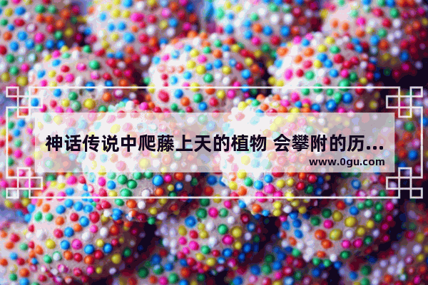神话传说中爬藤上天的植物 会攀附的历史人物是