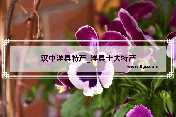 汉中洋县特产_洋县十大特产