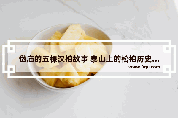 岱庙的五棵汉柏故事 泰山上的松柏历史故事