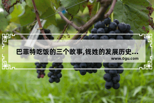 巴菲特吃饭的三个故事,钱姓的发展历史故事