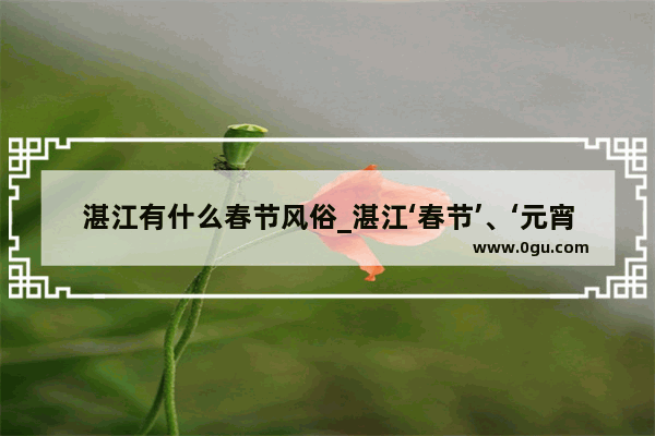 湛江有什么春节风俗_湛江‘春节’、‘元宵节’、的来历和习俗