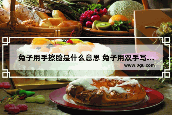 兔子用手擦脸是什么意思 兔子用双手写历史人物
