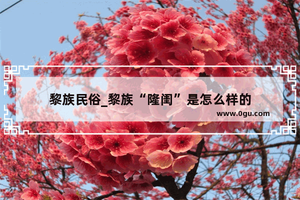 黎族民俗_黎族“隆闺”是怎么样的