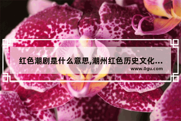 红色潮剧是什么意思,潮州红色历史文化讲解稿