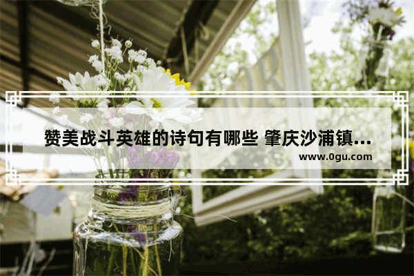 赞美战斗英雄的诗句有哪些 肇庆沙浦镇历史人物