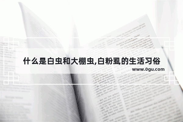 什么是白虫和大棚虫,白粉虱的生活习俗