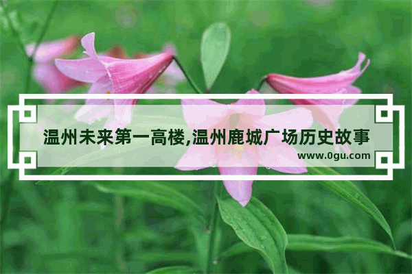 温州未来第一高楼,温州鹿城广场历史故事