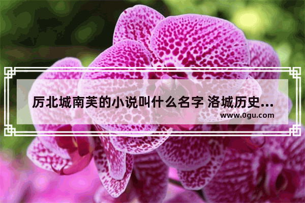 厉北城南芙的小说叫什么名字 洛城历史爱情故事小说