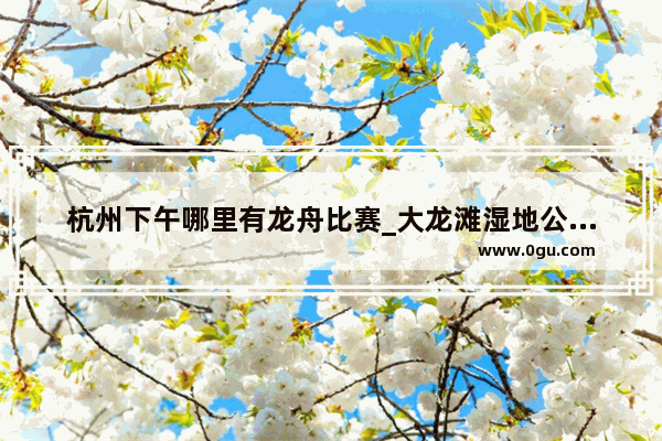 杭州下午哪里有龙舟比赛_大龙滩湿地公园习俗