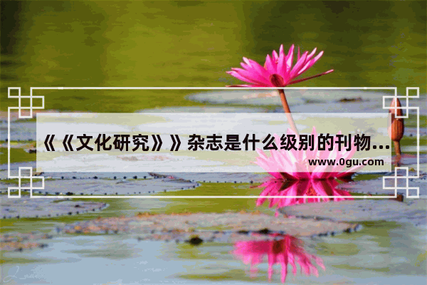 《《文化研究》》杂志是什么级别的刊物 关于北京历史文化的杂志