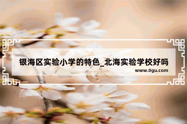 银海区实验小学的特色_北海实验学校好吗