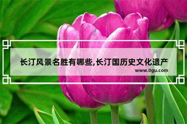 长汀风景名胜有哪些,长汀国历史文化遗产