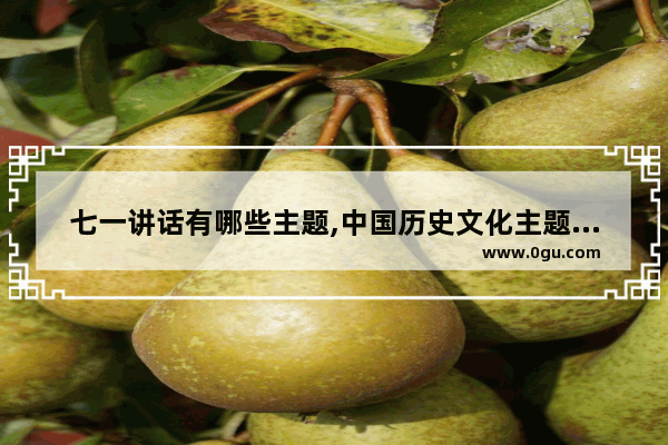 七一讲话有哪些主题,中国历史文化主题演讲视频