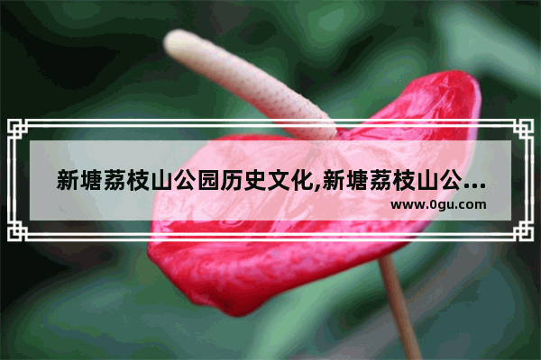 新塘荔枝山公园历史文化,新塘荔枝山公园历史文化