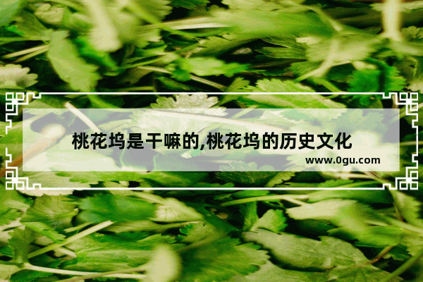 桃花坞是干嘛的,桃花坞的历史文化
