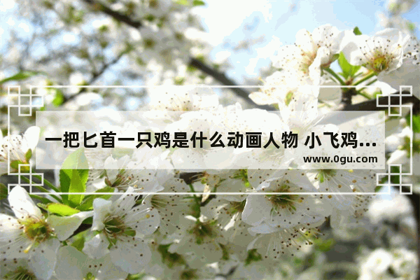 一把匕首一只鸡是什么动画人物 小飞鸡习俗