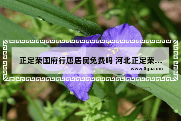 正定荣国府行唐居民免费吗 河北正定荣国府历史故事