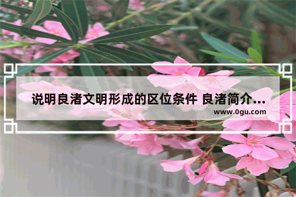 说明良渚文明形成的区位条件 良渚简介和历史文化