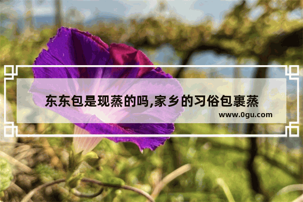 东东包是现蒸的吗,家乡的习俗包裹蒸